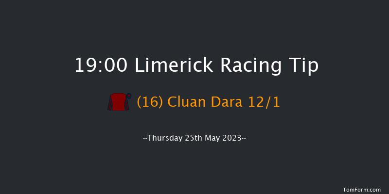 Limerick 19:00 Handicap Chase 20f Sat 22nd Apr 2023