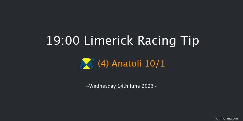 Limerick 19:00 Handicap 7f Fri 26th May 2023