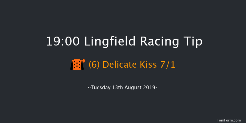 Lingfield 19:00 Handicap (Class 5) 8f Sat 10th Aug 2019