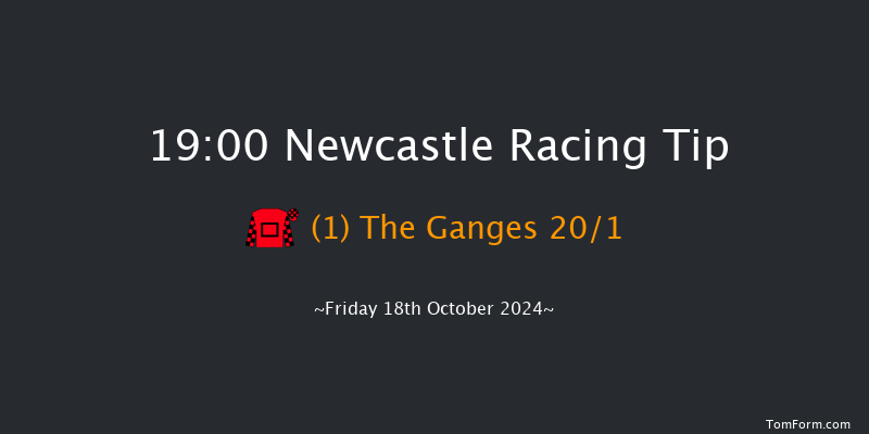 Newcastle  19:00 Maiden (Class 5) 7f Tue 15th Oct 2024