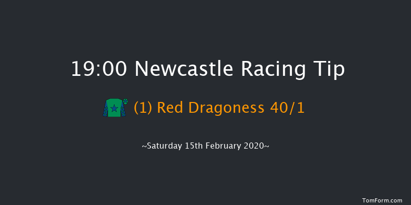 Ladbrokes Home Of The Odds Boost Fillies' Novice Stakes (Div 1) Newcastle 19:00 Stakes (Class 5) 8f Tue 11th Feb 2020