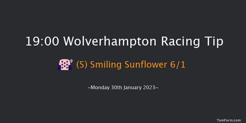 Wolverhampton 19:00 Handicap (Class 3) 9f Fri 27th Jan 2023