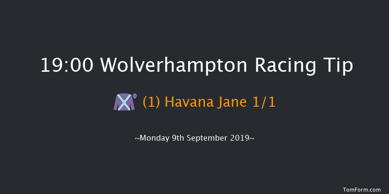 Wolverhampton 19:00 Stakes (Class 6) 7f Sat 7th Sep 2019