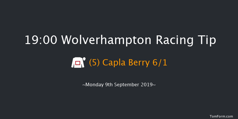 Wolverhampton 19:00 Stakes (Class 6) 7f Sat 7th Sep 2019