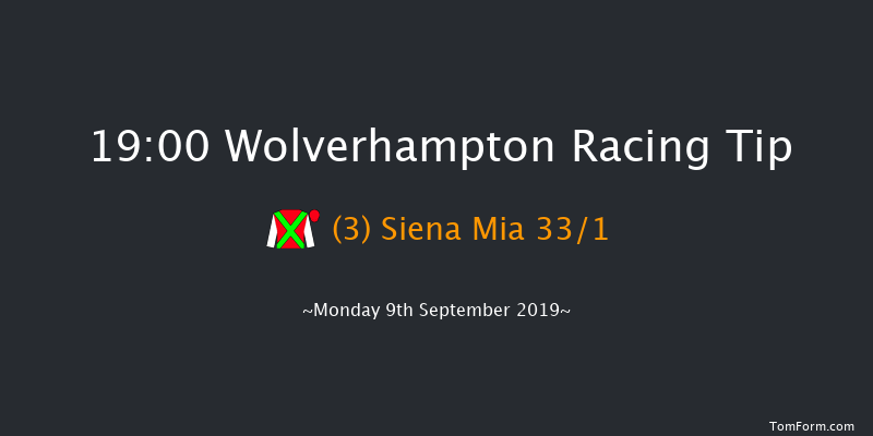 Wolverhampton 19:00 Stakes (Class 6) 7f Sat 7th Sep 2019