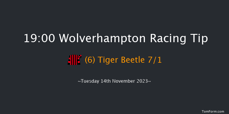 Wolverhampton 19:00 Handicap (Class 4) 9.5f Mon 13th Nov 2023