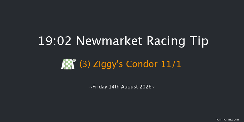 Newmarket 19-02 (Class 5) 6f Sat 8th Aug 2026