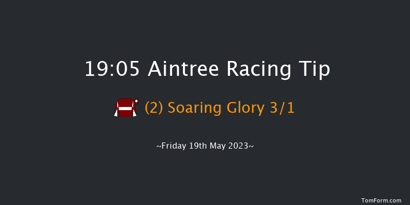 Aintree 19:05 Handicap Hurdle (Class 2) 20f Sat 15th Apr 2023