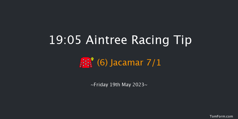 Aintree 19:05 Handicap Hurdle (Class 2) 20f Sat 15th Apr 2023