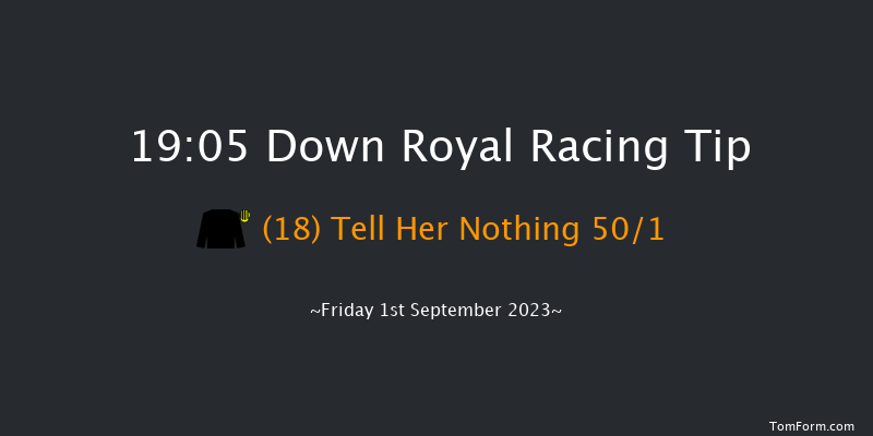 Down Royal 19:05 Handicap Hurdle 24f Fri 28th Jul 2023