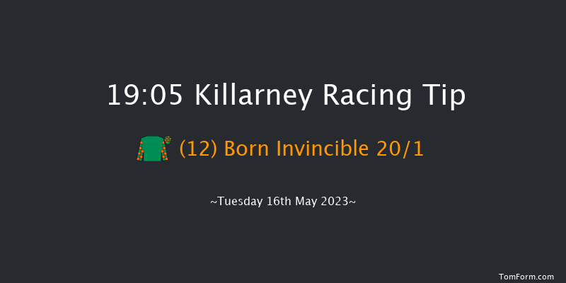 Killarney 19:05 Handicap 8f Mon 15th May 2023