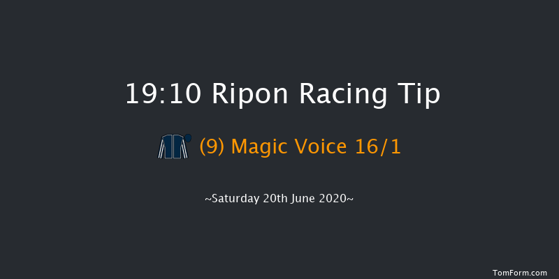 Risplith Novice Stakes Ripon 19:10 Stakes (Class 5) 8f Sat 28th Sep 2019