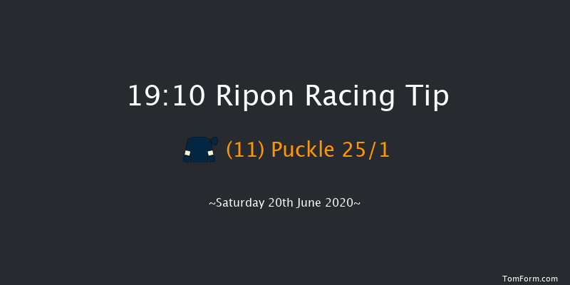 Risplith Novice Stakes Ripon 19:10 Stakes (Class 5) 8f Sat 28th Sep 2019