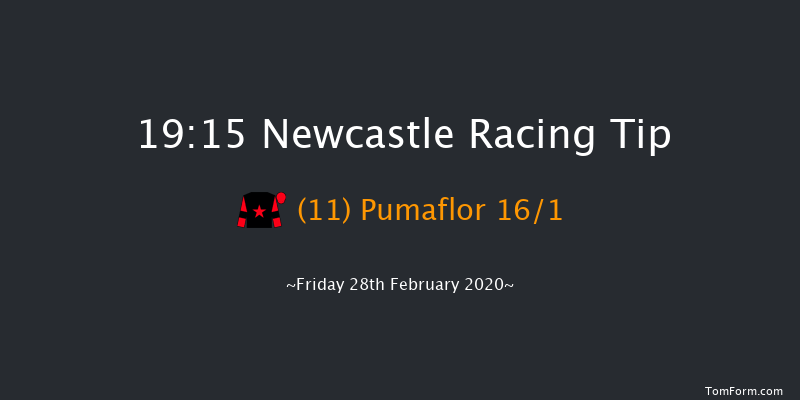 Bombardier Golden Beer Handicap Newcastle 19:15 Handicap (Class 7) 8f Thu 27th Feb 2020