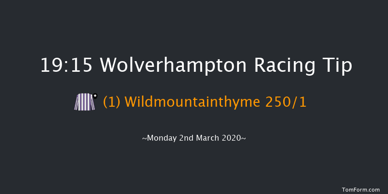 Ladbrokes Where The Nation Plays Fillies' Novice Stakes Wolverhampton 19:15 Stakes (Class 5) 6f Mon 24th Feb 2020