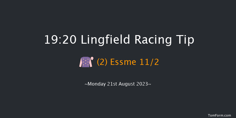Lingfield 19:20 Stakes (Class 6) 7f Tue 15th Aug 2023