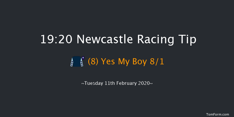 Bombardier British Hopped Amber Beer Novice Stakes Newcastle 19:20 Stakes (Class 5) 8f Thu 6th Feb 2020