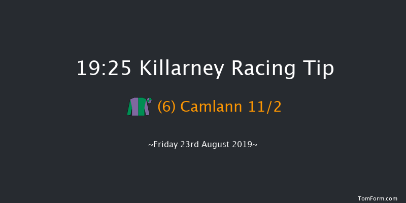 Killarney 19:25 Handicap Chase 21f Thu 22nd Aug 2019