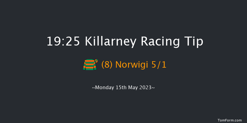Killarney 19:25 Handicap Chase 20f Sun 14th May 2023