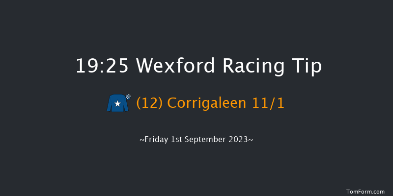 Wexford 19:25 Handicap Chase 25f Fri 11th Aug 2023