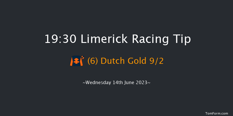 Limerick 19:30 Maiden 8f Fri 26th May 2023