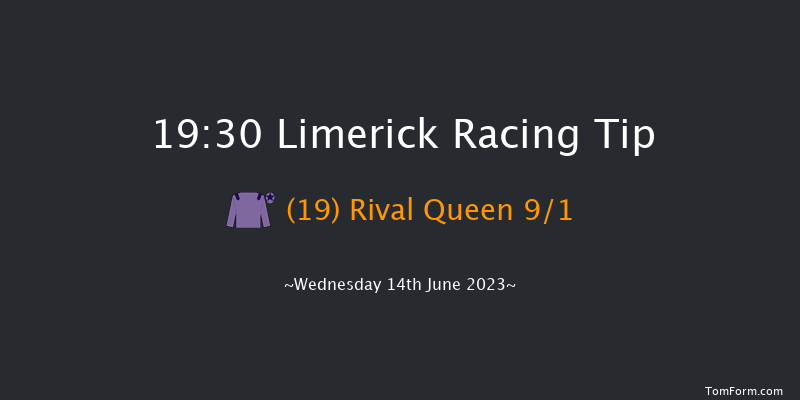 Limerick 19:30 Maiden 8f Fri 26th May 2023