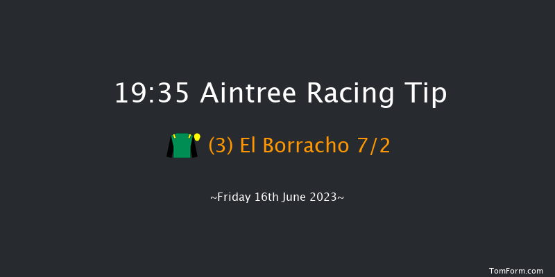 Aintree 19:35 Handicap Hurdle (Class 3) 16f Fri 19th May 2023