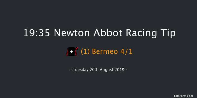 Newton Abbot 19:35 Handicap Chase (Class 5) 26f Wed 14th Aug 2019