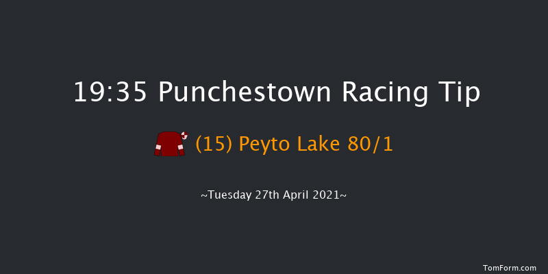 Irish Field - We Are All About The Horse Flat Race Punchestown 19:35 NH Flat Race 16f Mon 1st Mar 2021