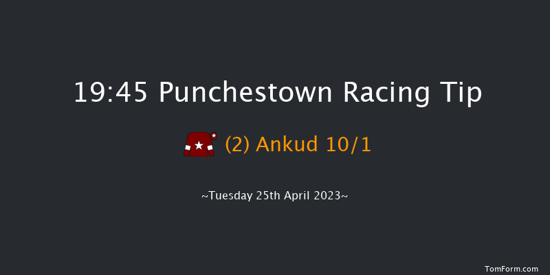 Punchestown 19:45 NH Flat Race 16f Wed 22nd Feb 2023
