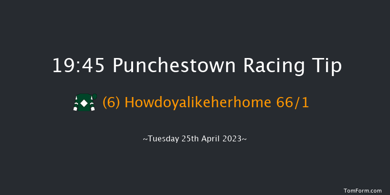 Punchestown 19:45 NH Flat Race 16f Wed 22nd Feb 2023