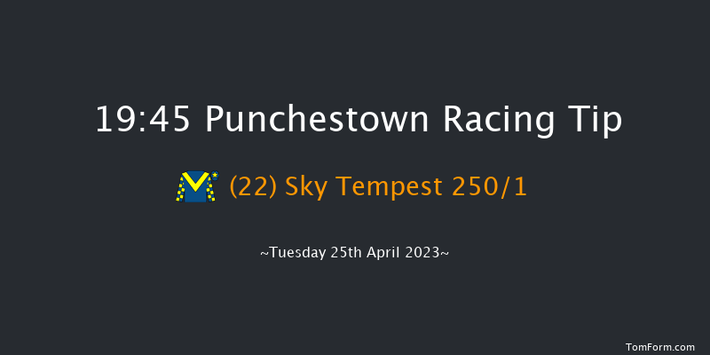 Punchestown 19:45 NH Flat Race 16f Wed 22nd Feb 2023