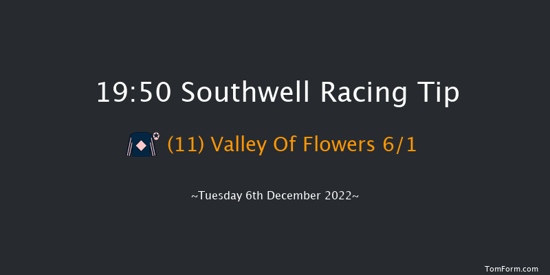 Southwell 19:50 Handicap (Class 6) 14f Tue 29th Nov 2022