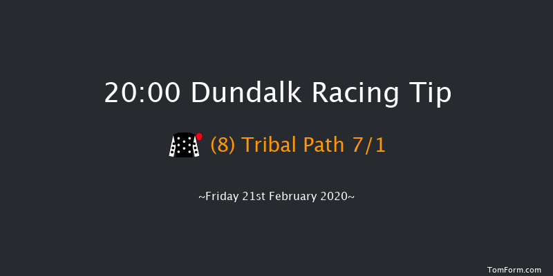 Fundraise At Dundalk Stadium Handicap (45-65) (Div 2) Dundalk 20:00 Handicap 7f Fri 14th Feb 2020