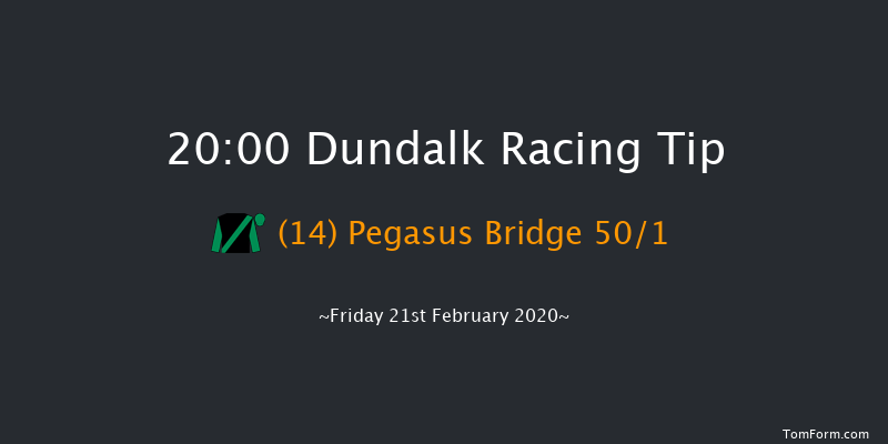 Fundraise At Dundalk Stadium Handicap (45-65) (Div 2) Dundalk 20:00 Handicap 7f Fri 14th Feb 2020