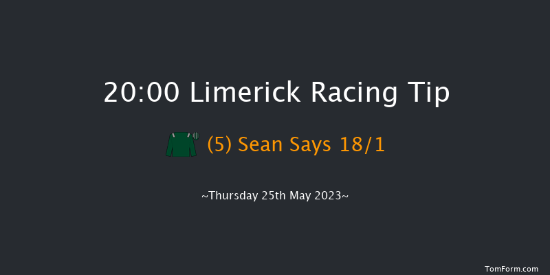 Limerick 20:00 Handicap Chase 23f Sat 22nd Apr 2023