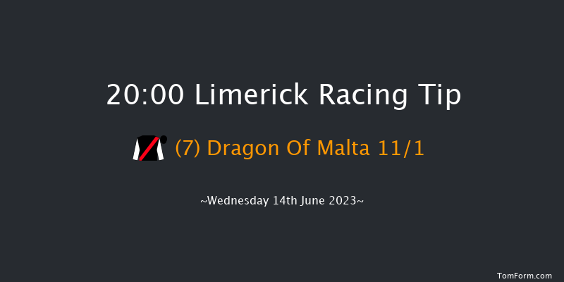 Limerick 20:00 Handicap 8f Fri 26th May 2023
