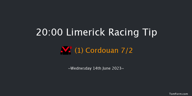 Limerick 20:00 Handicap 8f Fri 26th May 2023