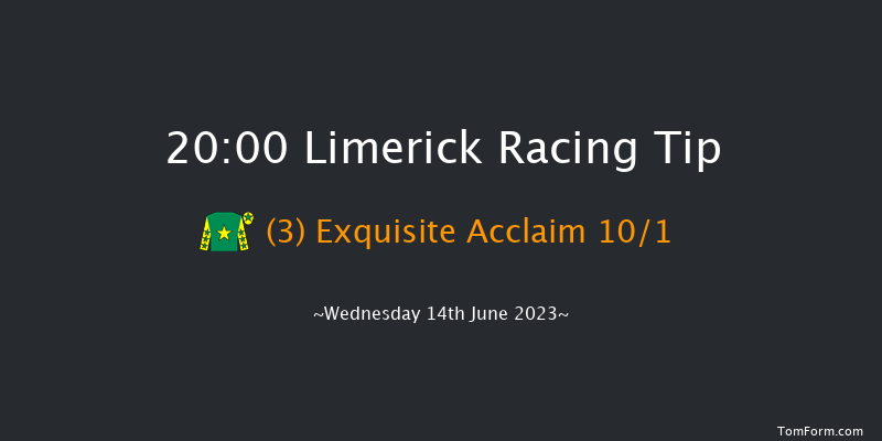Limerick 20:00 Handicap 8f Fri 26th May 2023