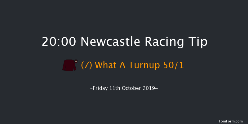Newcastle 20:00 Maiden (Class 5) 8f Wed 9th Oct 2019