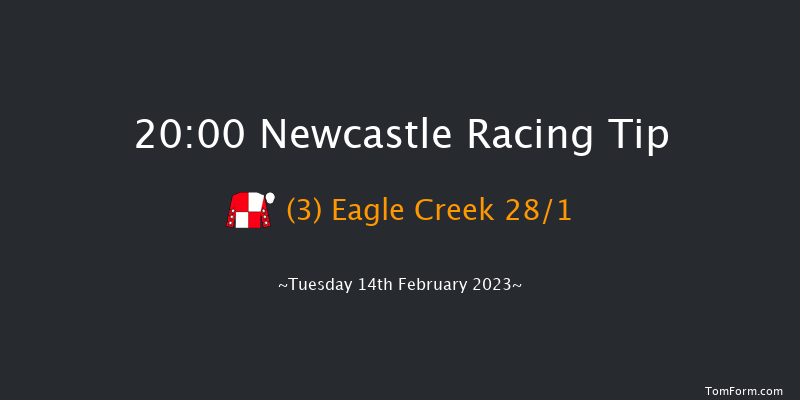 Newcastle 20:00 Handicap (Class 5) 7f Thu 9th Feb 2023