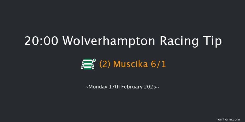 Wolverhampton  20:00 Handicap (Class 5) 6f Tue 11th Feb 2025