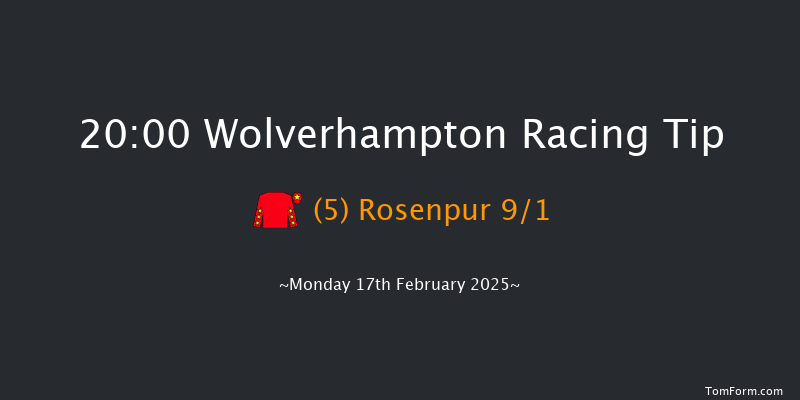 Wolverhampton  20:00 Handicap (Class 5) 6f Tue 11th Feb 2025