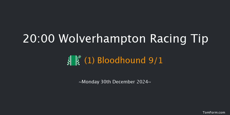 Wolverhampton  20:00 Handicap (Class 6) 10f Fri 27th Dec 2024