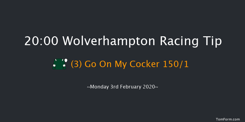 Wolverhampton 20:00 Stakes (Class 5) 9.5f Mon 27th Jan 2020