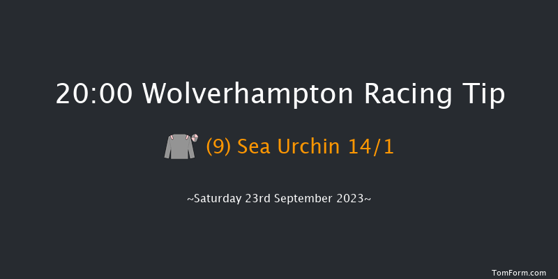 Wolverhampton 20:00 Handicap (Class 6) 12f Sat 9th Sep 2023