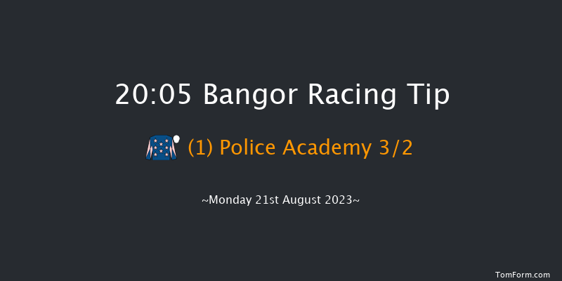 Bangor 20:05 Handicap Hurdle (Class 5) 20f Fri 4th Aug 2023