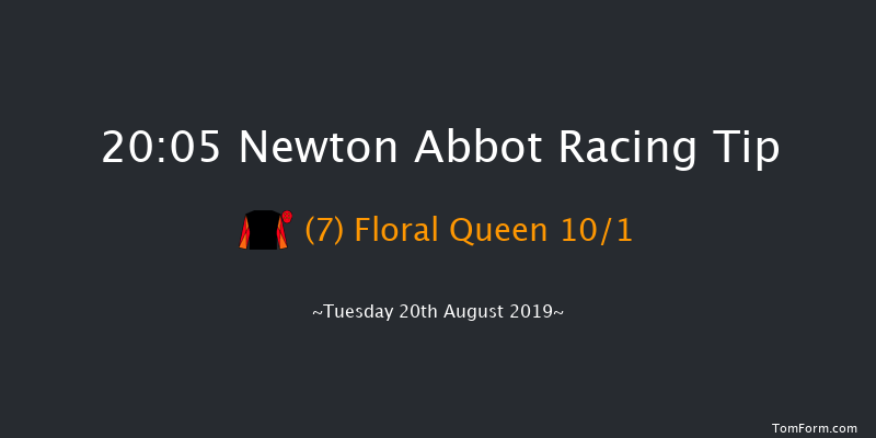Newton Abbot 20:05 Handicap Hurdle (Class 5) 17f Wed 14th Aug 2019