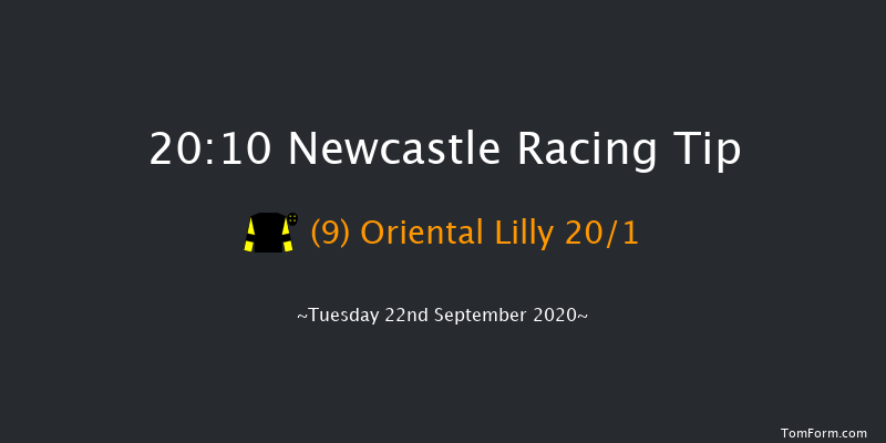 Final Furlong Podcast Fillies' Handicap Newcastle 20:10 Handicap (Class 5) 7f Tue 8th Sep 2020