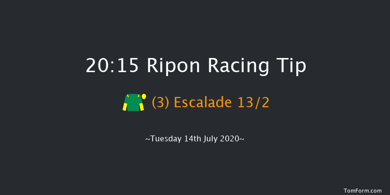 Ure Bank Fillies' Handicap Ripon 20:15 Handicap (Class 5) 12f Wed 8th Jul 2020